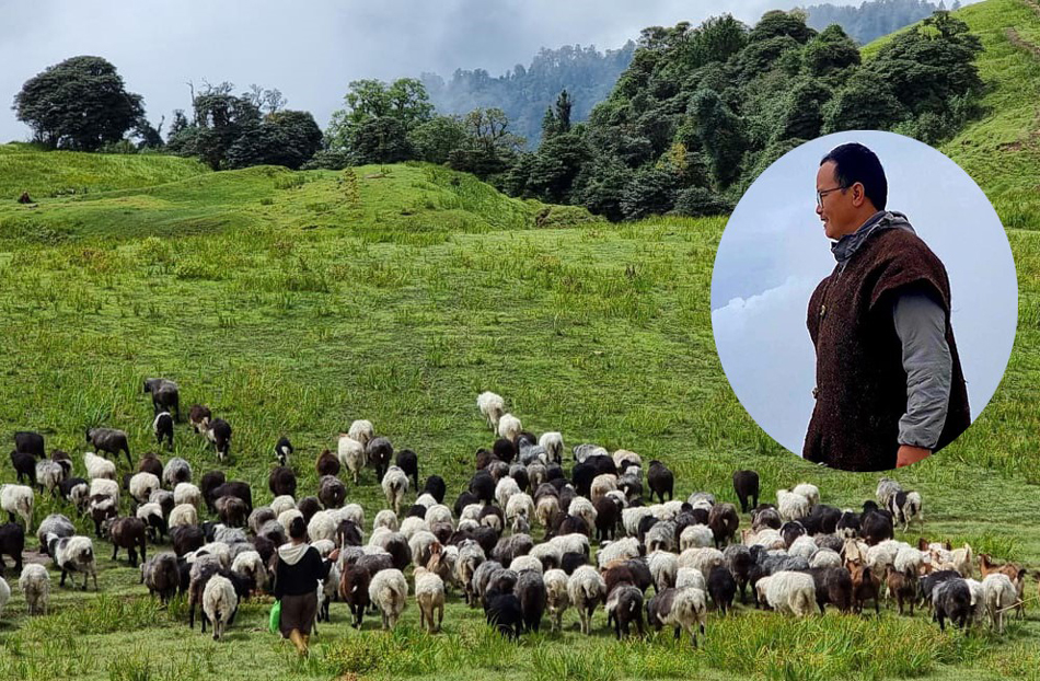 पढाइ स्नातकोत्तर, काम भेडा चराउने...